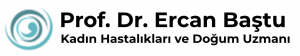 Prof. Dr. Ercan Baştu